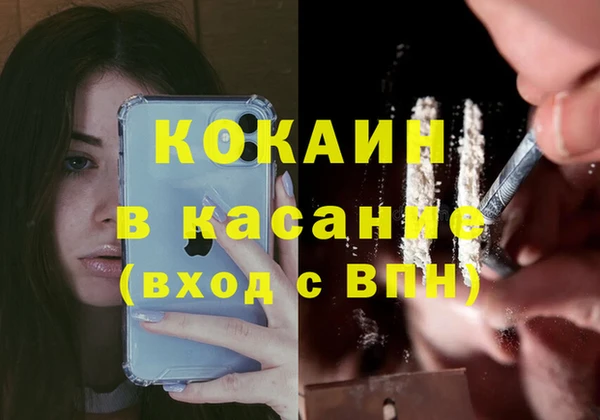 шишки Горнозаводск