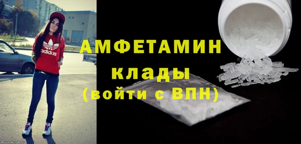 шишки Горнозаводск