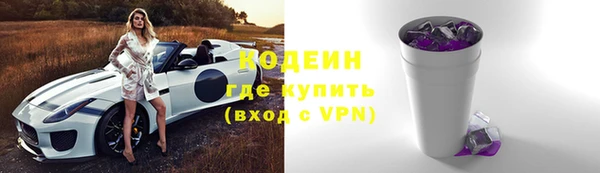 шишки Горнозаводск