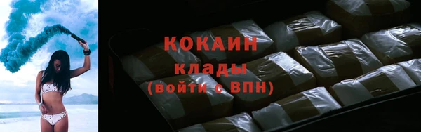 ПСИЛОЦИБИНОВЫЕ ГРИБЫ Горняк
