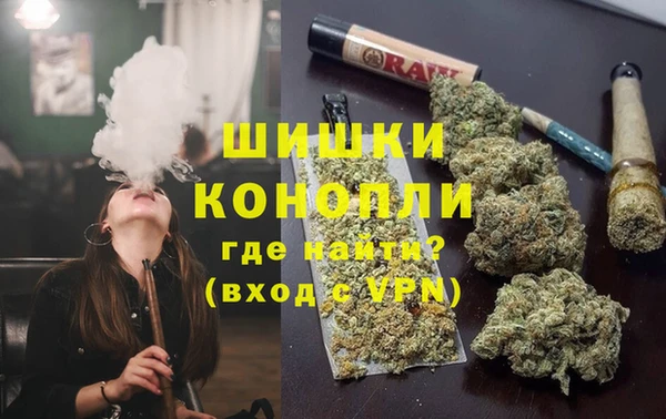 ПСИЛОЦИБИНОВЫЕ ГРИБЫ Горняк