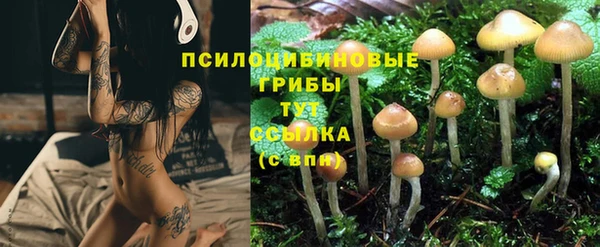 ПСИЛОЦИБИНОВЫЕ ГРИБЫ Горняк