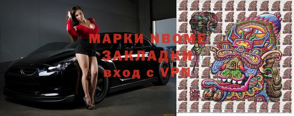 ПСИЛОЦИБИНОВЫЕ ГРИБЫ Горняк