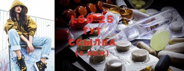 шишки Горнозаводск
