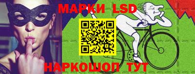 шишки Гатчина