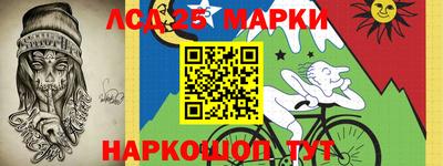 шишки Гатчина