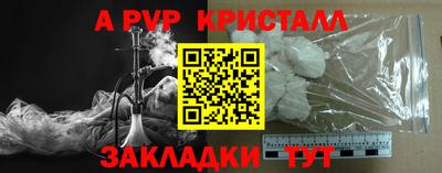 шишки Гатчина