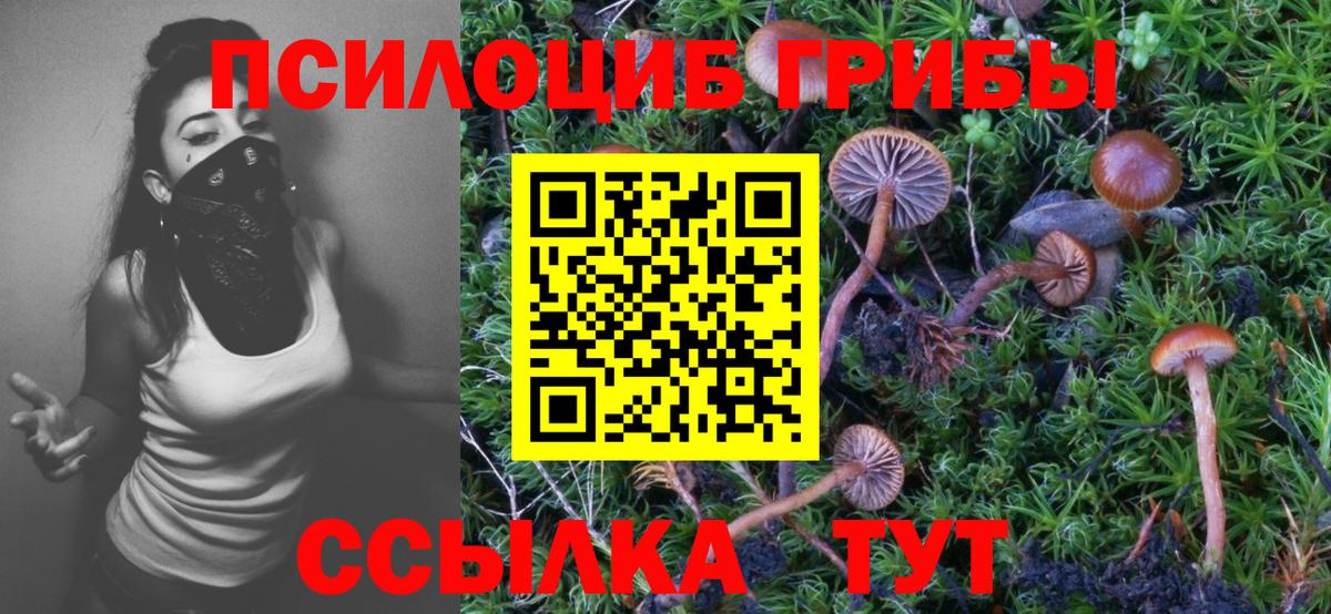 Галлюциногенные грибы MAGIC MUSHROOMS  Добрянка 