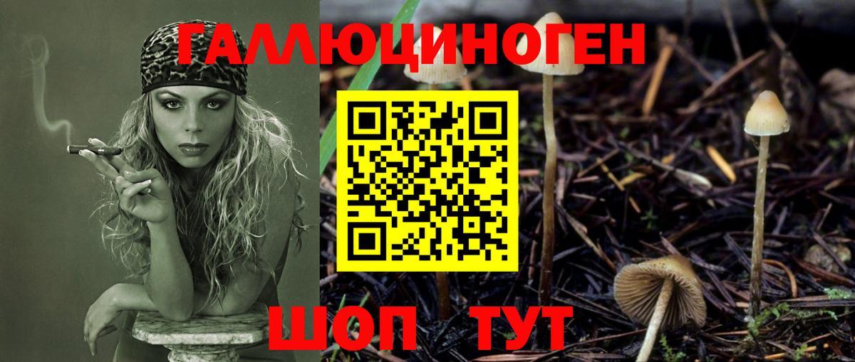 Добрянка  Галлюциногенные грибы Magic Shrooms  Вход с VPN 