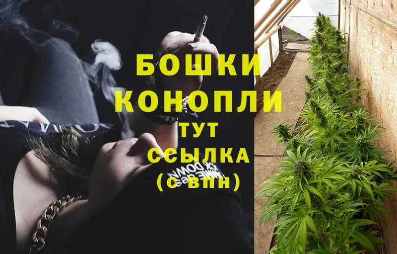 Шишки марихуана White Widow  Добрянка 