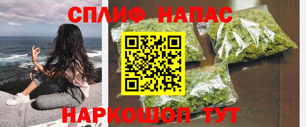 Каннабис сатива Добрянка